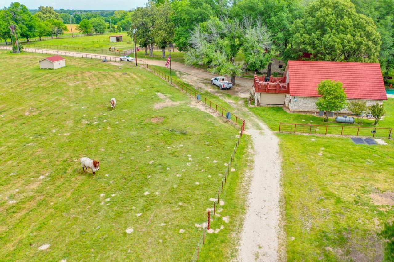 Dog-Friendly Wills Point Home With Grill On 10 Acres Canton Ngoại thất bức ảnh